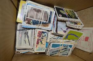 Lot 196