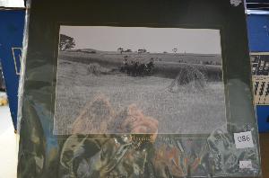 Lot 86