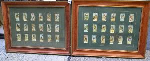 Lot 28