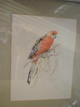 Lot 236