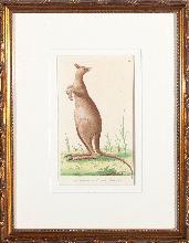 Lot 151