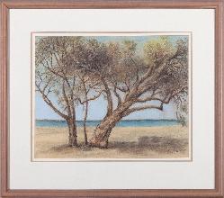 Lot 84