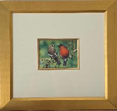 Lot 20