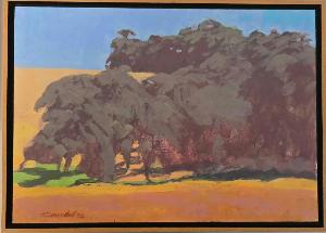 Lot 24