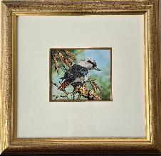 Lot 25