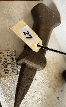 Lot 27
