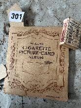 Lot 301