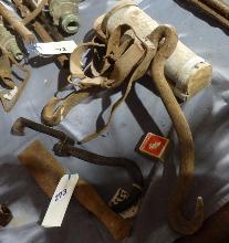 Lot 273