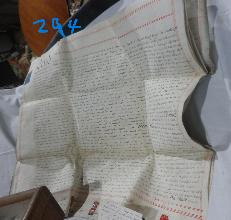 Lot 294