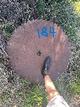 Lot 184