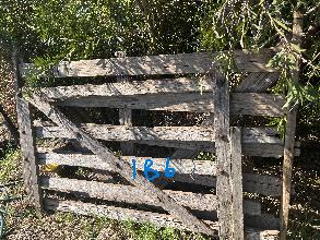 Lot 186