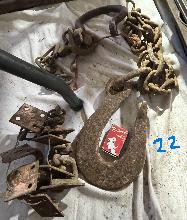 Lot 22