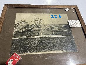 Lot 226
