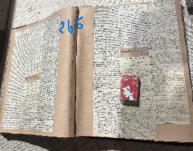Lot 265