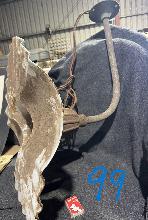 Lot 99