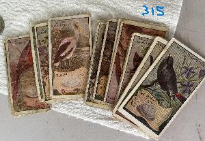 Lot 315