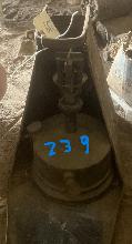 Lot 239