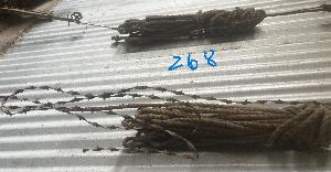 Lot 268
