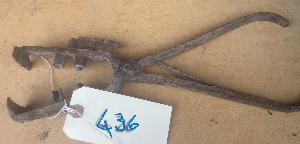 Lot 436