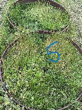 Lot 5